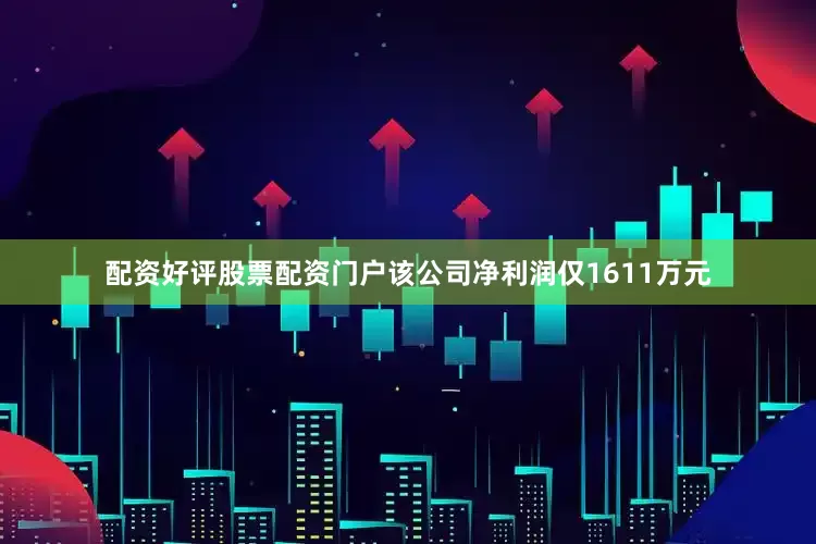 配资好评股票配资门户该公司净利润仅1611万元