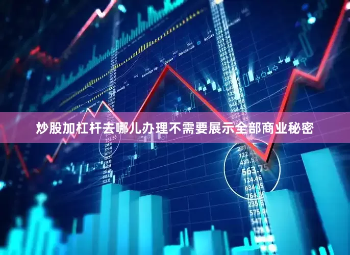 炒股加杠杆去哪儿办理不需要展示全部商业秘密