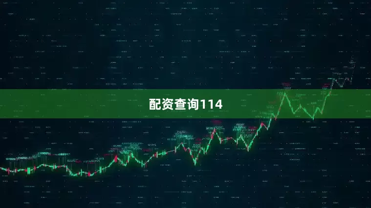 配资查询114