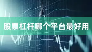 股票杠杆哪个平台最好用