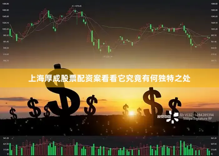 上海厚成股票配资案看看它究竟有何独特之处